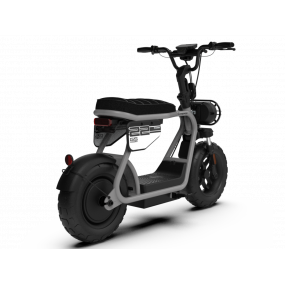 Coopop Rugged GS Version 45Km/h