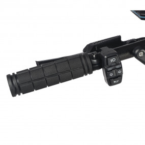 DUALTRON FOREVER 60V LIMITED