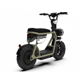 Coopop Rugged GS Version 25Km/h